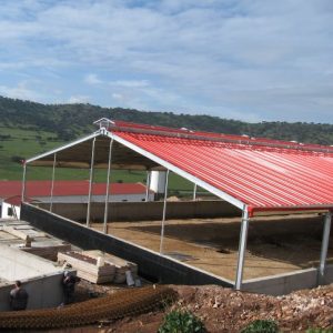 Layer house turnkey project