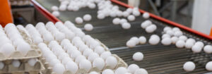 Turnkey Livestock Solutions Turnkey Livestock Solutions