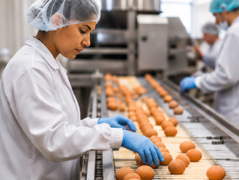 Egg Production