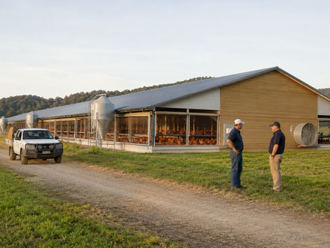 Australian poultry industry