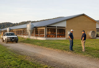 Australian poultry industry