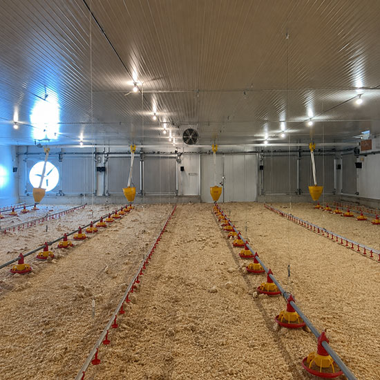Poultry Farming